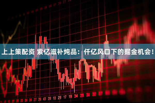 上上策配资 紫亿滋补炖品：仟亿风口下的掘金机会！